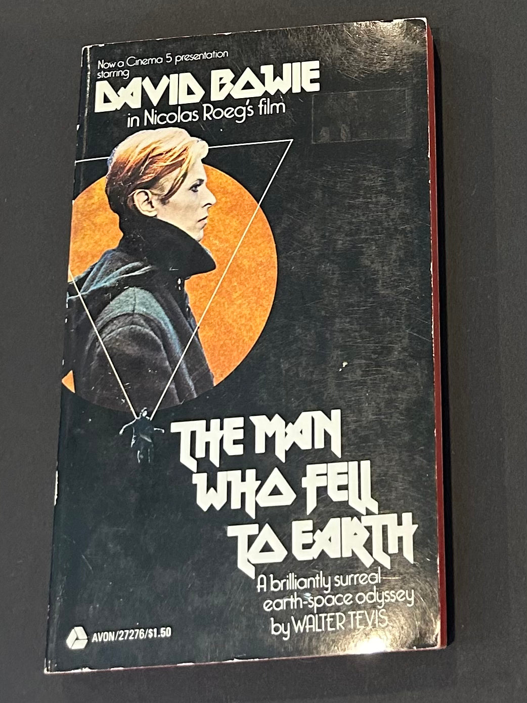 The Man Who Fell to Earth