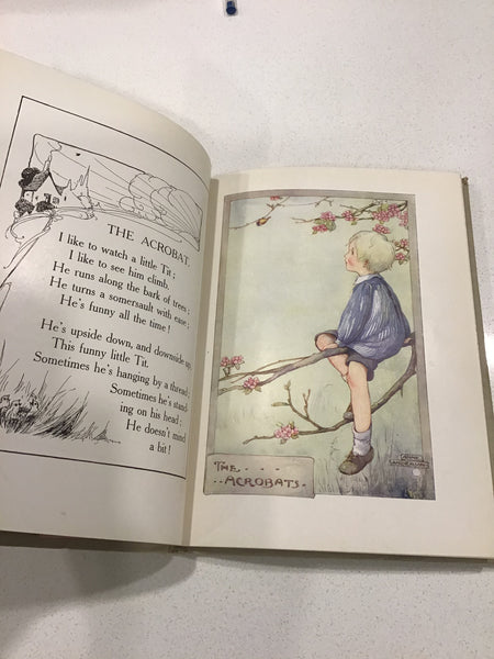 The Dickie-Birdie Book