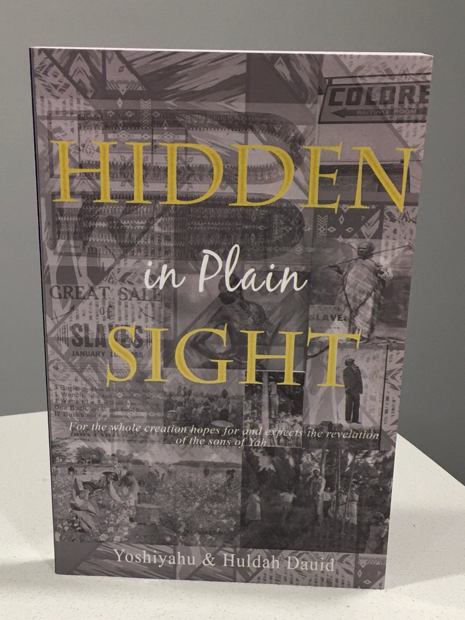 Hidden in Plain Sight