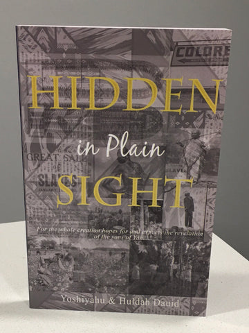 Hidden in Plain Sight
